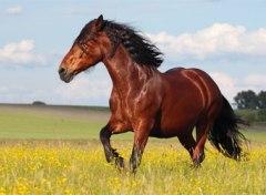 L-триптофан для эффективного роста молодняка